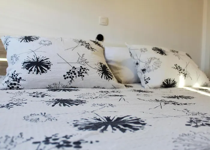 Entire Unit Lima *free Parking Space